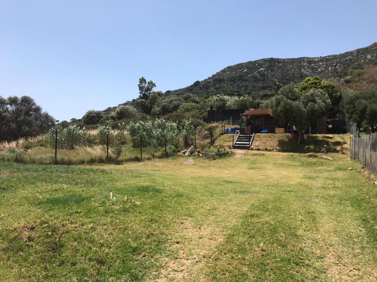 Rustic Cabin Tarifa 4 Guests 10 Minutes To Beach Eksteriør bilde