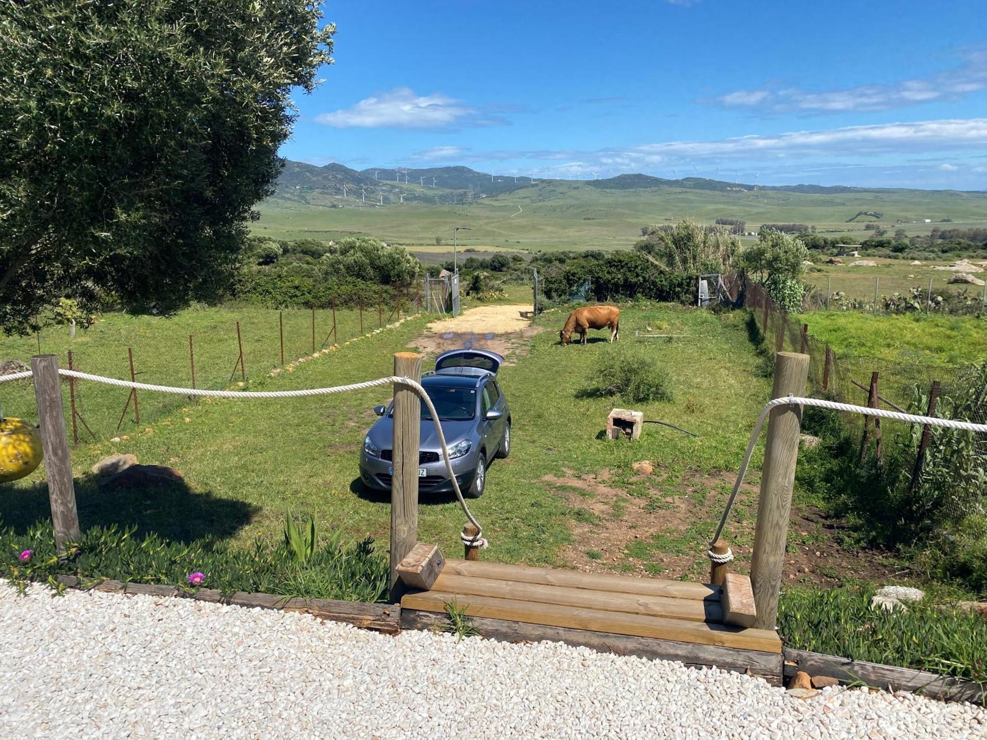 Rustic Cabin Tarifa 4 Guests 10 Minutes To Beach Eksteriør bilde